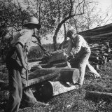 Two Men Using a Crosscut Saw on a Log