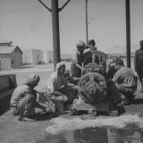 Arabians Working in the Oil Co.