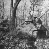 Buy M4A2 Tanks Tested at Alberdeen Proving Ground at AllPosters.com
