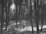 Buy Gunder Hagg Training in the Woods Near Malmo at AllPosters.com