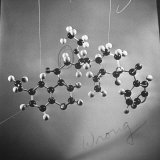 Buy Model of N-Benzoyl-8-Carbethoxy-Quinotoxine Molecule Used in the Creation of Synthetic Quinine at AllPosters.com