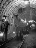 Horse Pulling Cart in Coal Mine