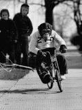 Performing Chimpanzee Zippy Riding a Bike