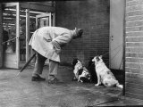 Buy French Actor Jacques Tati Talking to a Couple of Dogs at AllPosters.com