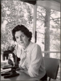 Buy Biologist Author Rachel Carson Working with Microscope at Her Home at AllPosters.com
