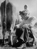 Author Erskine Caldwell Milking a Russian Peasant Woman's Cow During Visit to the Front Premium Photographic Print