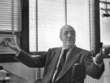 Buy Architect Mies Van Der Rohe Expressing Feelings at His Desk at AllPosters.com