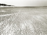 Baltrum Beach, no. 6