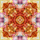 Colseaworld Mandala, no. 3