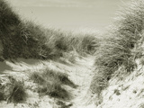Juist Beach