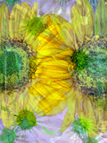 Multiple Suns of Life, no. 2