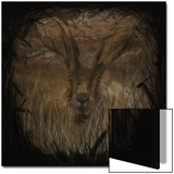 Field Hare