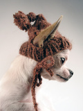 Phoebe in Winter Hat