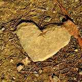 Heart of Stone