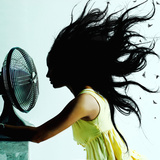 Your Coolest Fan