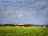 Buy Impressionistic Harvest Field and Truck at AllPosters.com