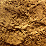 Tile Leaf