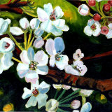 Blossom Lullaby I