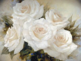 White Roses