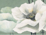 Buy Poppy in Green II at AllPosters.com