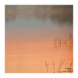 Pink River
