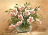 Buy Absolutely Beautiful I at AllPosters.com