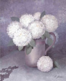 Buy Tender Hydrangea II at AllPosters.com