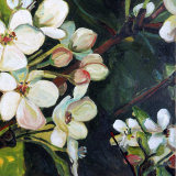 Blossom Rhapsody III