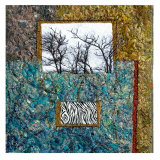 Buy Dormant VI at AllPosters.com