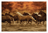 Buy Autumn Run at AllPosters.com