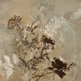 Graphic Beauty II