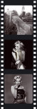 Film Reel III
