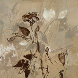 Graphic Beauty I