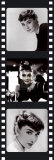 Film Reel IV