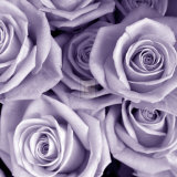 Bunch of Flowers III
