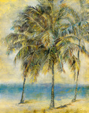Buy Palm Hammock II at AllPosters.com