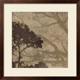 Morning Mist I
