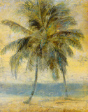 Buy Palm Hammock I at AllPosters.com