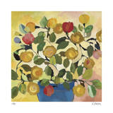 Buy Geraniums at AllPosters.com