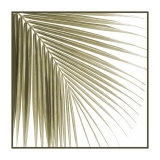Palm Study VI