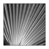 Buy Palm Feature I at AllPosters.com