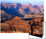 Grand Canyon from South Rim Near Yavapai Point, Grand Canyon National Park, Arizona