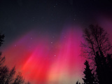 Curtains of Northern Lights above Fairbanks, Alaska, USA