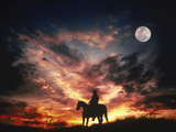 Silhouette of Cowboy on Horse, AZ