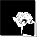 Black and White Print with Large White Flower