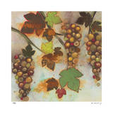Vineyard Visions II