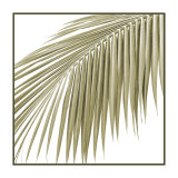 Palm Study VII