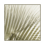 Buy Palm Study II at AllPosters.com