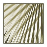 Palm Study I