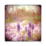 Buy Standing Tall at AllPosters.com